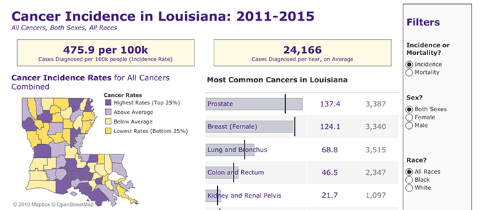 LSU Health Tumor Registry Data Visualization tool